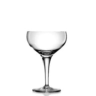 Michelangelo Champagne Coupe 22.5 cl Set 6 Pcs